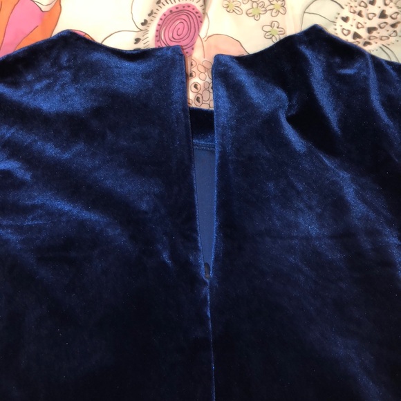 Blue Velvet Dress - Picture 4 of 5